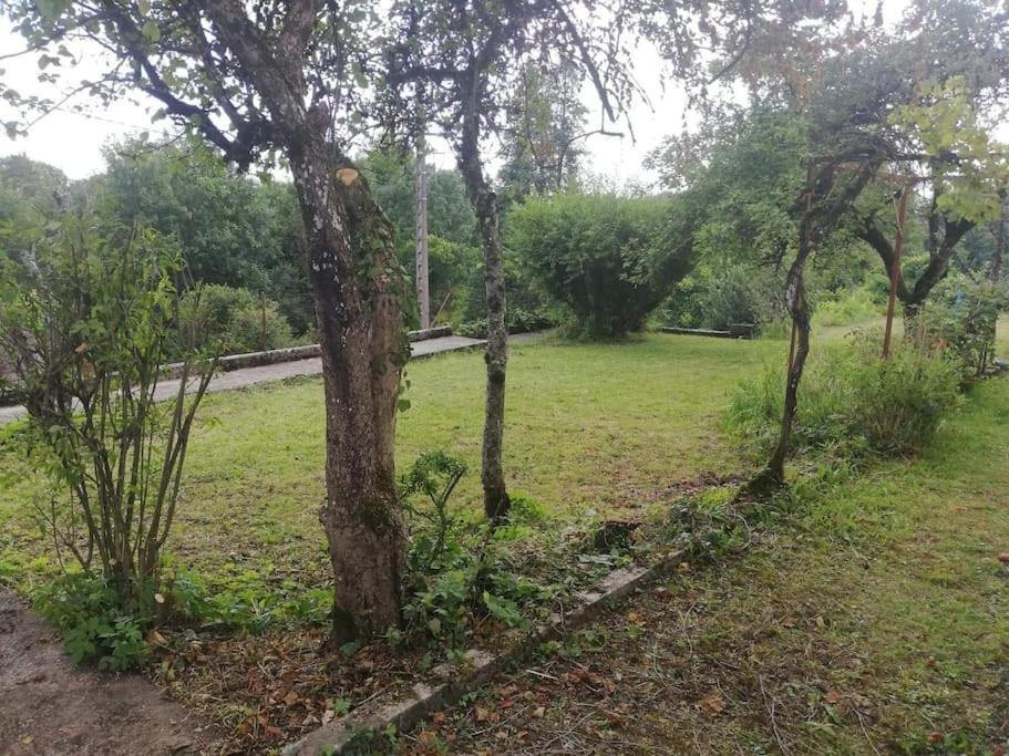 L'Atelier De Desire Villa Cogna Luaran gambar